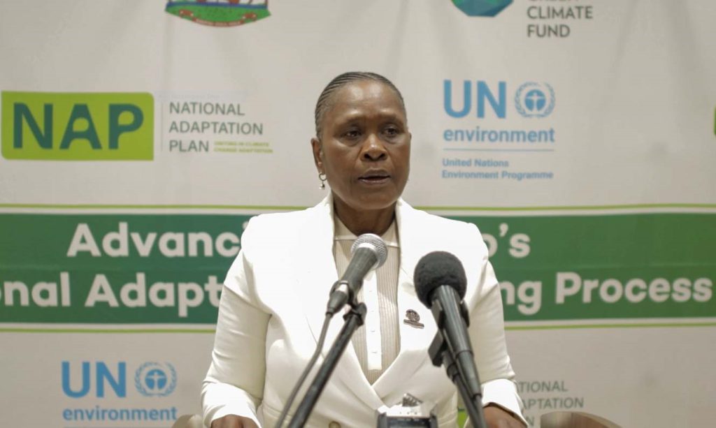 The Principal Secretary of the Ministry of Environment and Forestry, Maphakamile Xingwana